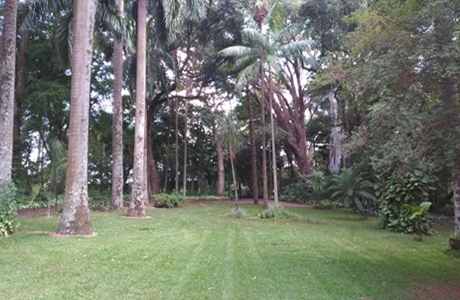 Rebaixamento de Piso